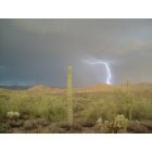 Queen Valley: Lightning in Queen Valley, AZ