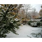Clear Lake: : October snow, Clear Lake