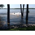 Memphis: : Harbor Town Mississippi River Water ski