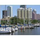Tampa: : Downtown Tampa Bayshore Marina