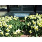 Needham: Spring at Hillside Elementary School