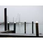 Colonial Beach: Colonial Yacht Center on a cold Foggy Morning