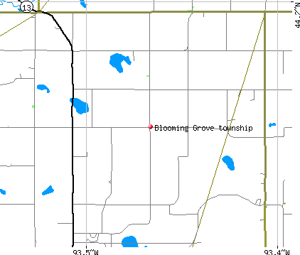 Blooming Grove township, MN map