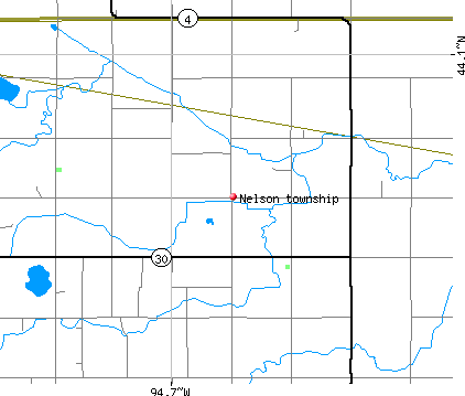 Nelson township, MN map