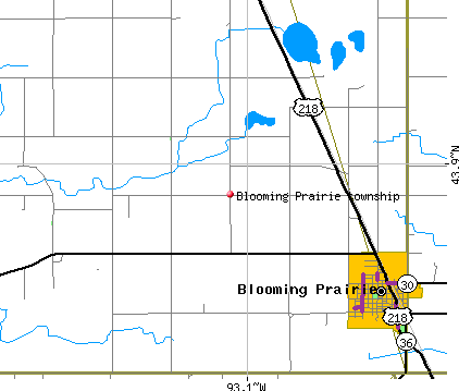 Blooming Prairie township, MN map