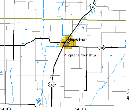 Hopkins township, MO map