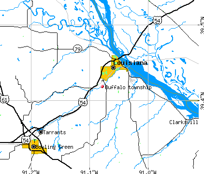 Buffalo township, MO map