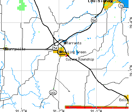 Cuivre township, MO map