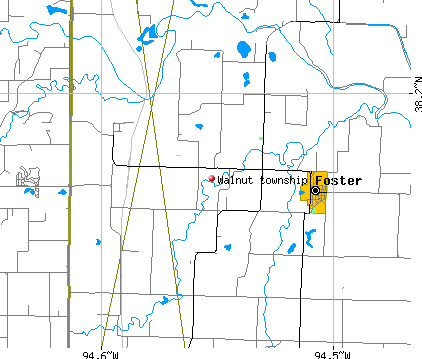 Walnut township, MO map