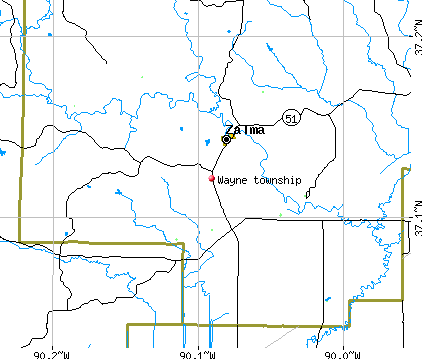 Wayne township, MO map