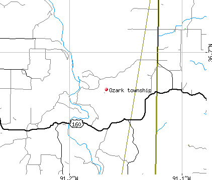 Ozark township, MO map