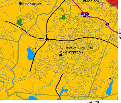 Livingston township, NJ map