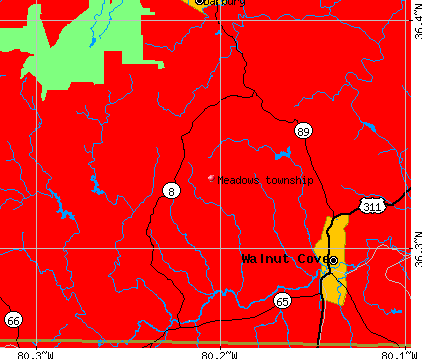 Meadows township, NC map