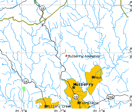 Mulberry township, NC map