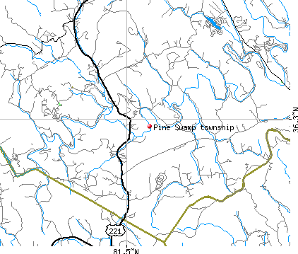 Pine Swamp township, NC map