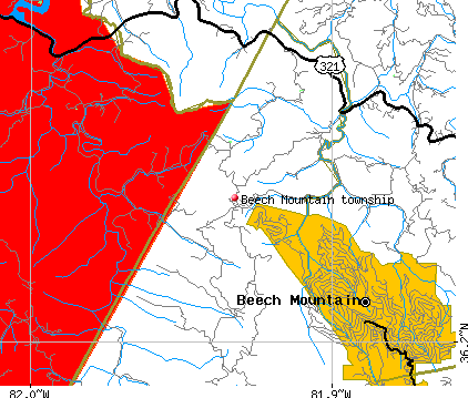 Beech Mountain township, NC map