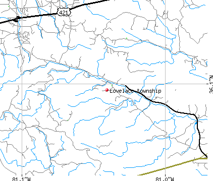 Lovelace township, NC map
