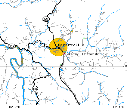 Bakersville township, NC map