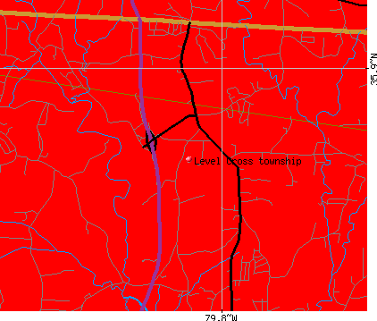 Level Cross township, NC map