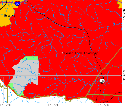 Lower Fork township, NC map
