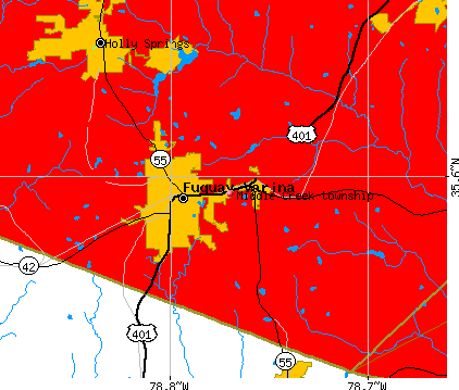 Middle Creek township, NC map