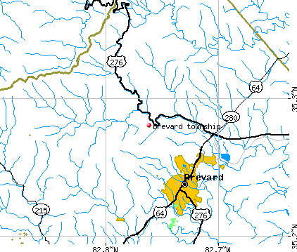 Brevard township, NC map