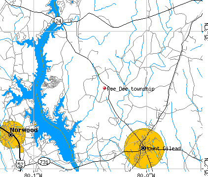 Pee Dee township, NC map
