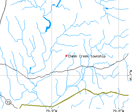 Cheek Creek township, NC map