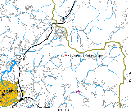 Millshoal township, NC map