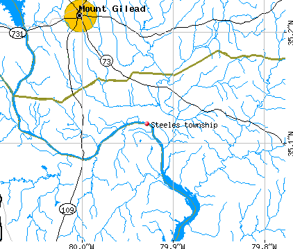 Steeles township, NC map