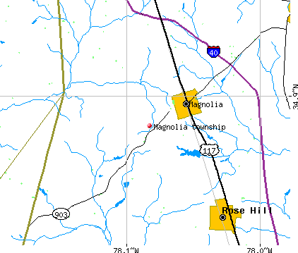 Magnolia township, NC map
