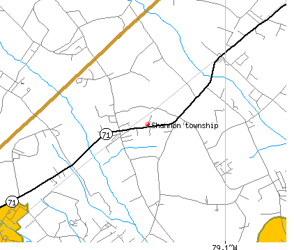 Shannon township, NC map