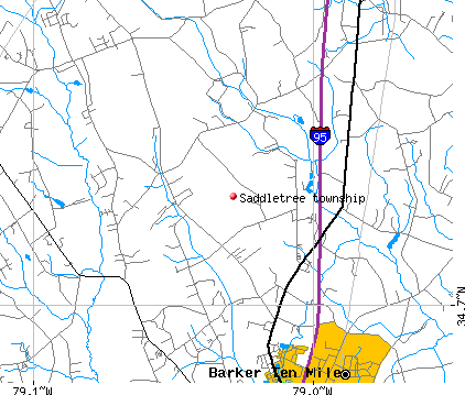 Saddletree township, NC map