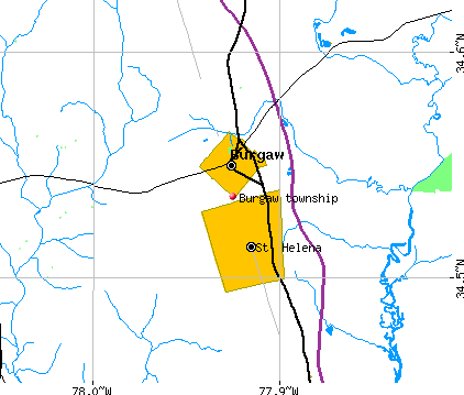 Burgaw township, NC map