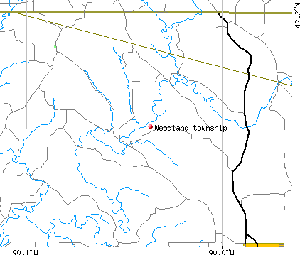 Woodland township, IL map