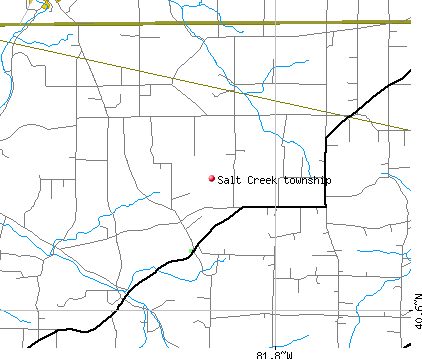 Salt Creek township, OH map