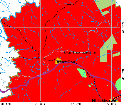 Snow Shoe township, Centre County, Pennsylvania (PA) Detailed Profile