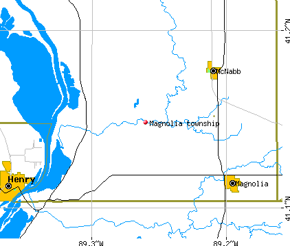 Magnolia township, IL map