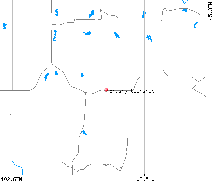 Brushy township, SD map