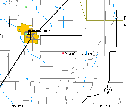 Reynolds township, AR map