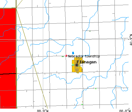 Nebraska township, IL map