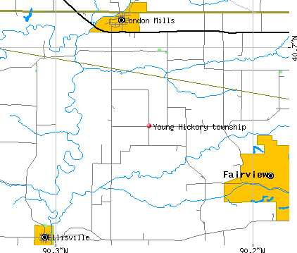 Young Hickory township, IL map