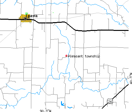 Pleasant township, IL map