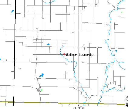 Walker township, IL map