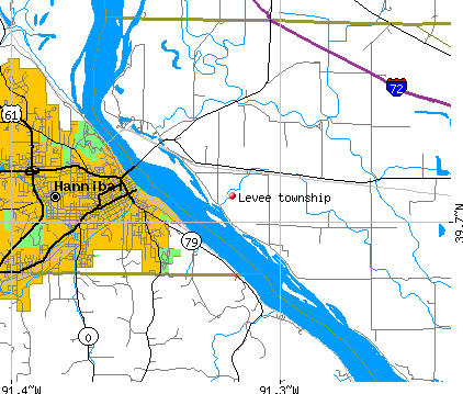 Levee township, IL map