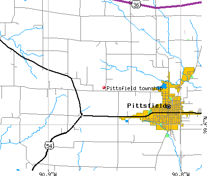 Pittsfield township, IL map