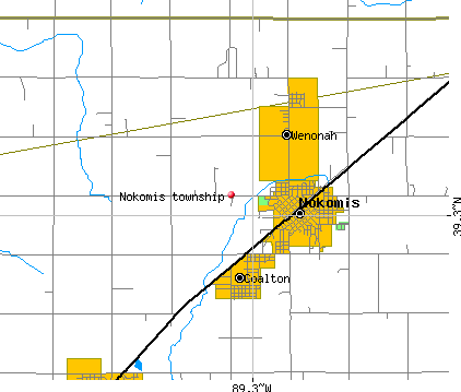 Nokomis township, IL map