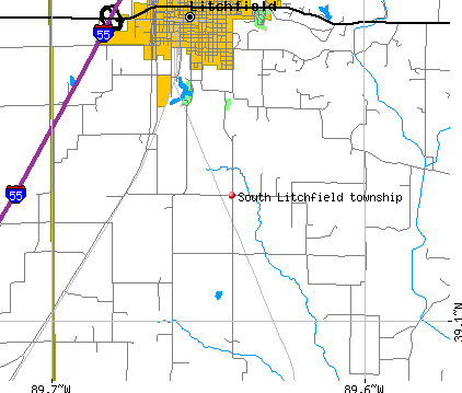 South Litchfield township, IL map
