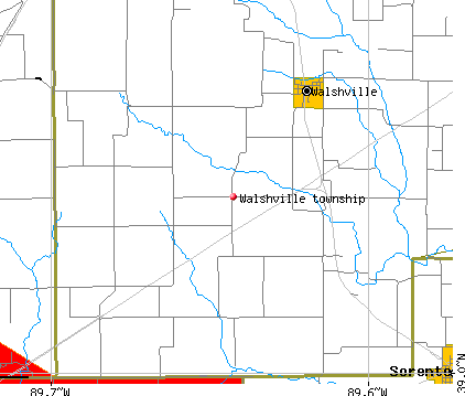 Walshville township, IL map