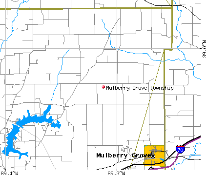 Mulberry Grove township, IL map